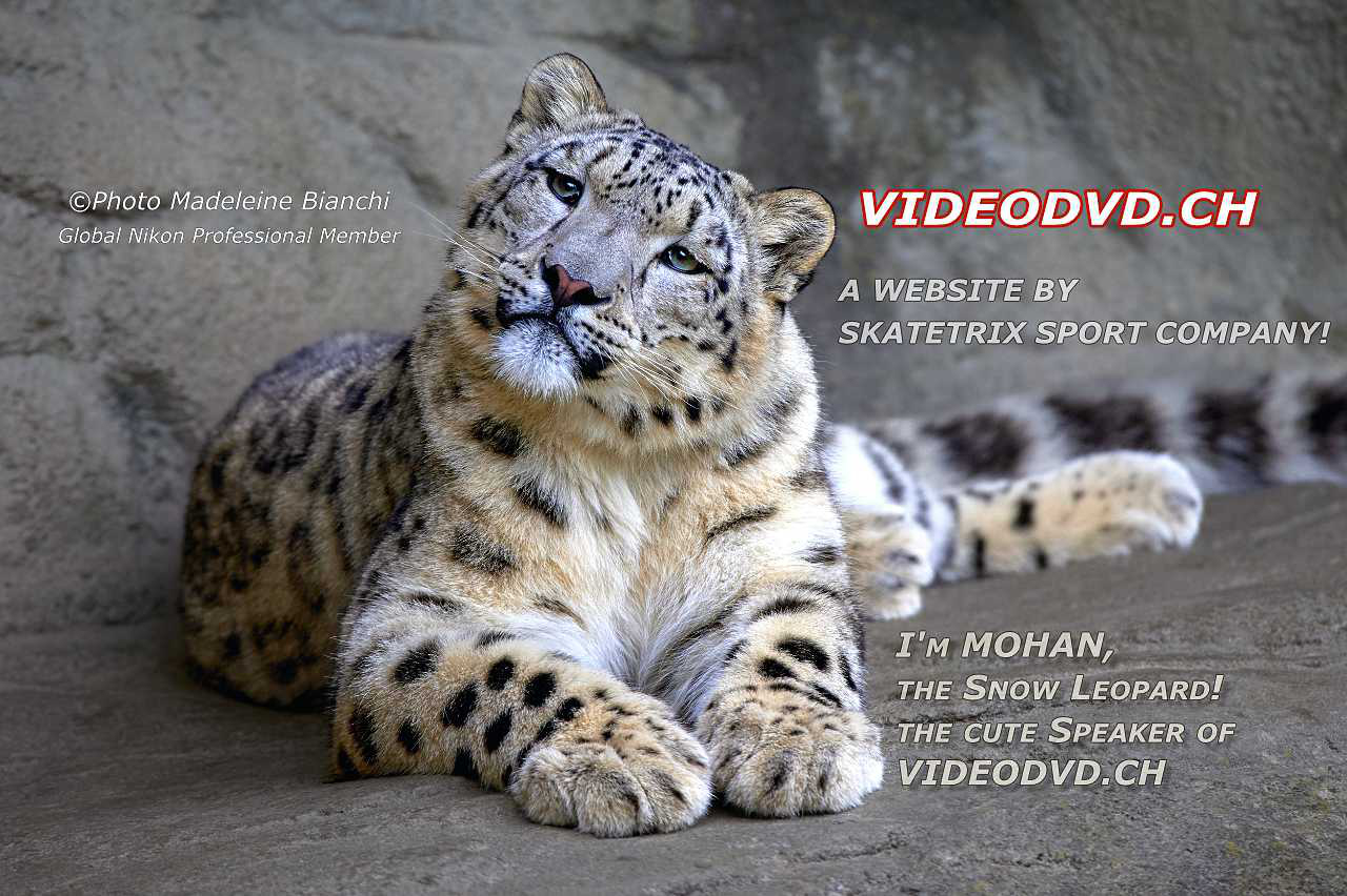 Snow Leopard Boy MOHAN